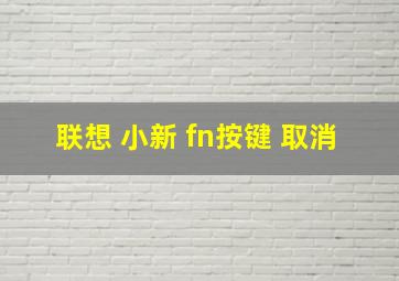 联想 小新 fn按键 取消